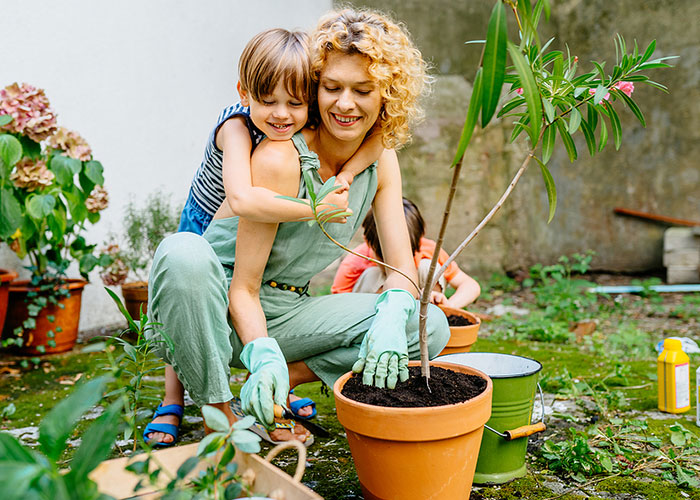 Fire Ant Control Atlanta