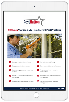 Free Pest Control Tips